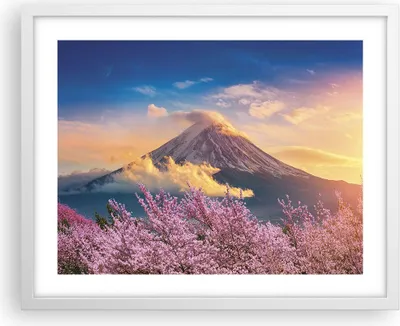 Produktbild von Gerahmtes Poster - Weißer Rahmen - Fuji Blume Kirsche - 50x40 cm - Wand Bild - Wanddeko - Wandbilder - Kunstposter - Wandposter - Bilderrahmen - Bilder - Kunstdruck - Wanddekoration - P2WAA50x40-4490