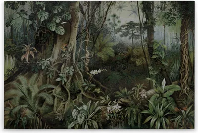 Produktbild von Leinwandbild Urwald 60 x 90 cm - Wandbild Dschungel Grün Wald - Keilrahmen Wohnzimmerdeko Wanddeko Wandgemälde