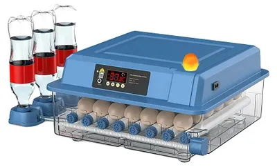 Image de Incubateur, contrôle automatique de la température, grande fenêtre de visualisation, capacité de 36 œufs