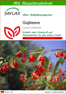 Produktbild von SAFLAX - Gojibeere - Lycium chinensis - 200 Samen - Mit keimfreiem Anzuchtsubstrat