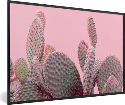 Produktbild von MuchoWow® Gerahmtes Poster Kaktus - Pflanzen - Sommer 90x60 cm - Poster mit Schwarzem Bilderrahmen Wandposter Rahmen Foto Bilder - Fotorahmen - Foto-Plakat