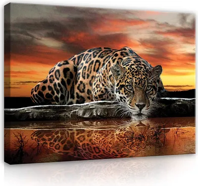 Produktbild von Leinwandbild Jaguar Tiger Afrika Tiere Leopard 100x70 cm XXL Schlafzimmer Wohnzimmer Bilder Wandbilder Kunstdruck Wand Bild auf Leinwand