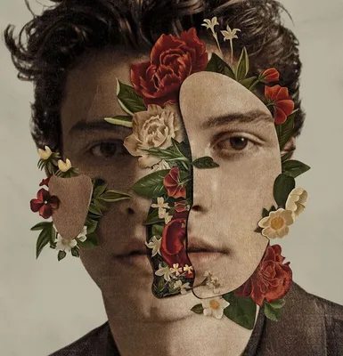 Immagine prodotto di Shawn Mendes