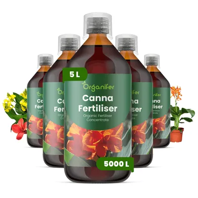 Produktbild von Canna Flüssigdünger 5x1L – 3-4-3 NPK – Flüssigdünger Für Blühpflanzen – Für Üppige Blätter & Kräftige Blüten – Organifer