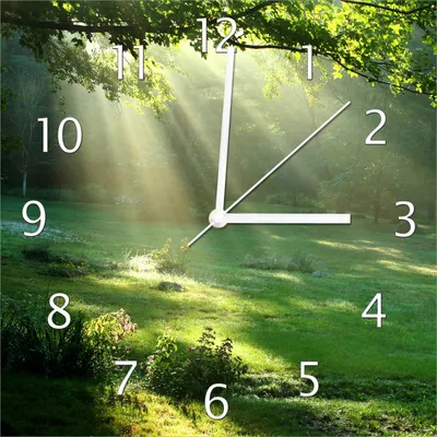 Produktbild von Wallario Design Wanduhr Sonnenstrahlen im Wald aus Echtglas, Größe 30 x 30 cm