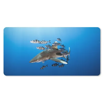 Produktbild von MuchoWow® Mauspad Mousepad Hai mit Fisch 60x30 cm - Mousepads - Maus Mat - Pad - Mausunterlage - Nachhaltig