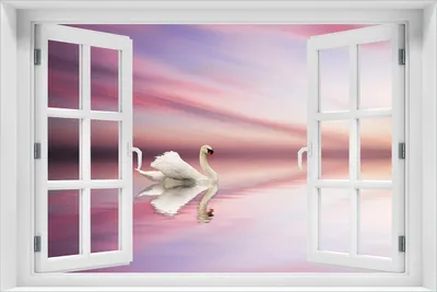 Produktbild von Wallario Wandbild aus Acryl, 60 x 90 cm, freischwebende Optik - Weißer Schwan im rosafarbenen See mit Fenster-Illusion