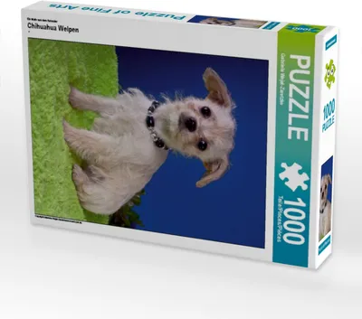 Produktbild von Calvendo Ein Motiv aus dem Kalender Chihuahua Welpen 1000 Teile Puzzle hoch 480x640mm, Wejat-Zaretzke Gabriela; 7273868