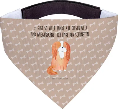 Produktbild von Mr. & Mrs. Panda Hundehalstuch Hund Cavalier King Charles Spaniel - Hundeglück - Geschenk, Dreieckstuch, Bandana, Spruch, Hunde Halstuch, Bester, Schal, Cockerspaniel