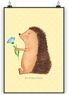 Produktbild von Mr. & Mrs. Panda Bild Igel Blumen DIN A5 - Gelb Pastell - Geschenk, wanddeko, Lustige Sprüche, Wanddekoration, Plakat, drucke, Krankheit, krank, Deko, Krankenhaus, Besuch