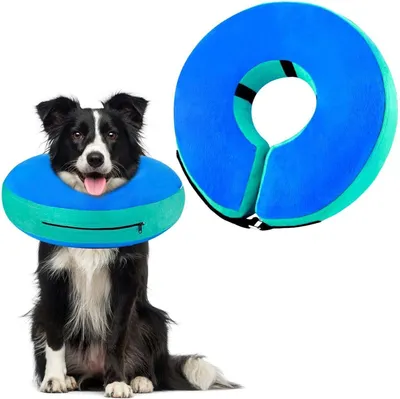 Image de Collier gonflable Chien Chat Collier de protection Réglable Velcro Protection contre les fuites Chiens Bleu L