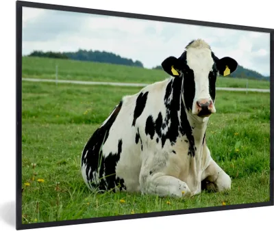 Produktbild von MuchoWow® Gerahmtes Poster Kuh - Gras - Tiere - Berg 30x20 cm - Poster mit Schwarzem Bilderrahmen Wandposter Rahmen Foto Bilder - Kunstdruck - Bild-Poster