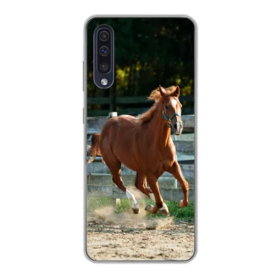 Produktbild von MuchoWow® Handyhülle Schutzhülle Hülle für Samsung Galaxy A30s Pferd - Licht - Sand Silikon Softcase Handy Hülle - Karteninhaber