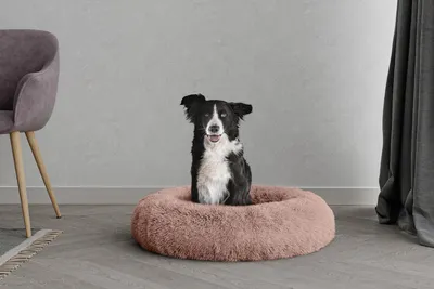 Immagine prodotto di "Sogni d'Italia" - Cuccia per animali, modello "Rosa", 70 x 70 x 26 cm