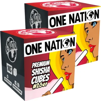 Zdjęcie produktu dla One Nation 2 kg 26 sztuk węgla drzewnego naturalnego z łupin orzechów kokosowych do grillowania