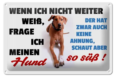 Produktbild von Blechschild Spruch 30x20cm wenn ich nicht weiter weiß Hund