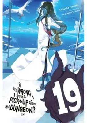 Obrázok produktu pre Is It Wrong to Try to Pick Up Girls in a Dungeon?, Vol. 19 (Light Novel)