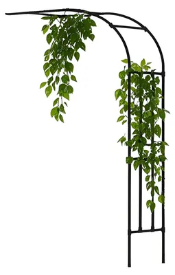 Immagine prodotto di Arco da giardino in acciaio inossidabile, ideale per piante rampicanti