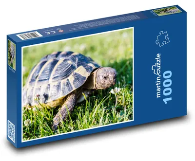 Obrázek produktu pro Puzzle 1000 Želva na zelené louce - martinpuzzle
