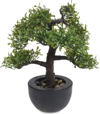 Obrázok produktu pre Umelý Bonsajový Strom 31 Cm Wz√≥R 3