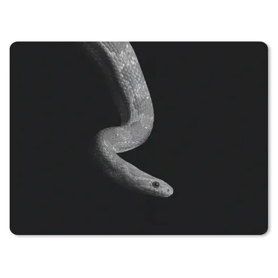 Produktbild von MuchoWow® Mauspad Mousepad Tiere - Schlange - Schwarz - Weiß - Porträt 23x19 cm - Mousepads - Maus Mat - Pad - Mausunterlage - Schreibtischunterlage - Mauspad