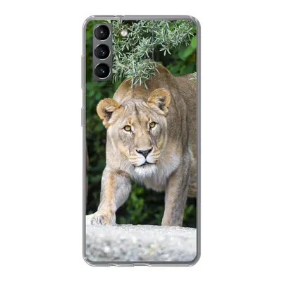 Produktbild von MuchoWow® Handyhülle Schutzhülle Hülle für Samsung Galaxy S21 Plus Löwinnen - Wilde Tiere - Jagd Silikon Softcase Handy Hülle - Handy-Tasche