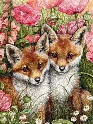 Image de Broderie de diamants Deux renards heureux 40x50
