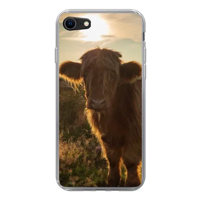 Produktbild von MuchoWow® Handyhülle Schutzhülle Hülle für iPhone 7 Schottischer Highlander - Sonnenuntergang - Gras Silikon Softcase Handy Hülle - Kartenhalter