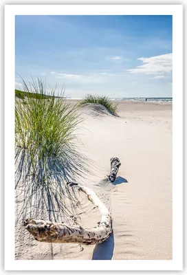 Produktbild von Poster - Poster ohne Rahmen - Mrzezyno Strand Meer - 61x91,5 cm - Wand Bild - Wanddeko - Wandbilder - Kunstposter - Wandposter - Bilder - Kunstdruck - Wanddekoration - Wandbild - P2XPA61x91-4281