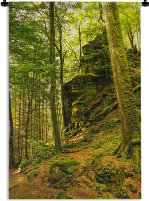 Produktbild von MuchoWow® Wandteppich Wandbehang Bäume - Stein - Wald - Natur - Pflanzen 60x90 cm Tapisserie Dekoration Wandtuch - Foto-Teppich - Abwaschbar