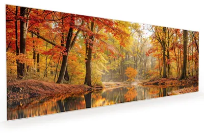 Produktbild von Küchenrückwand Spritzschutz Glas mit Motiv Herbstwald am See 40 x 40 cm