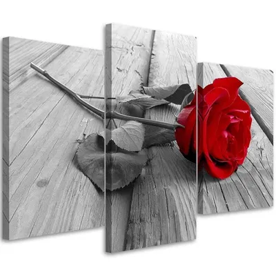 Produktbild von Triptychon auf leinwand rote rose 90x60 cm Feeby rot wandbild bereit zum aufhängen