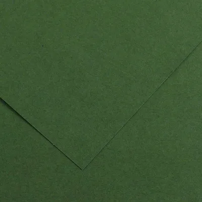 Produktbild von Canson Iris Vivaldi A3 farbiges Papier, glattes tannengrün, 200040210
