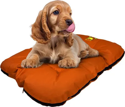 Produktbild von EVE Textile Hundebett Katzenbett 70x50x5 cm Orange Hundekorb Katzenkorb Hundekissen Katzenkissen Hundesofa Katzensofa Bett für Haustiere Hund und Katz