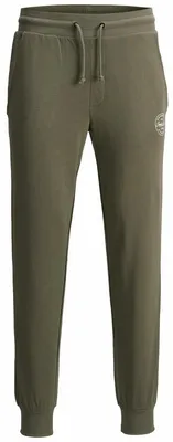 Produktbild von Jack & Jones 12165322, Joggers, Erwachsener, Grün, L, Baumwolle, Nicht bleichen