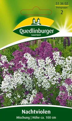 Produktbild von Nachtviole Mischung | Blumensamenmischung von Quedlinburger