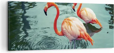 Produktbild von Bild auf Leinwand - Leinwandbild - Einteilig - Rosa Flamingos Wasser - 100x40cm - Wand Bild - Wanddeko - Wandbilder - Leinwanddruck - Bilder - Wanddekoration - Leinwand bilder - AB100x40-4203