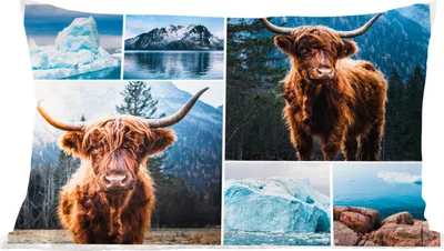 Produktbild von MuchoWow® Zierkissen Sofakissen Wohnzimmer Dekokissen 60x40 cm Schottisches Hochlandrind - Collage - Winter - Kopfkissen - Polster mit Foto