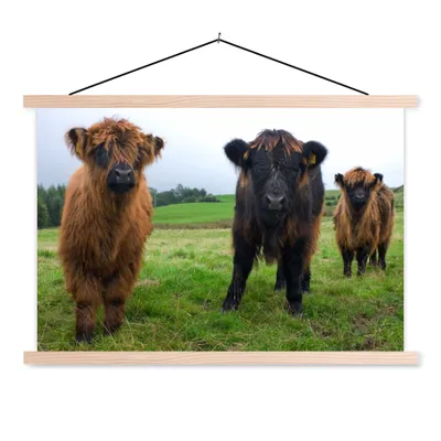 Produktbild von MuchoWow® Textilposter Schottische Highlander - Kühe - Natur - Grün - Gras 60x40 cm mit holzfarbenen Rahmen - Bilder