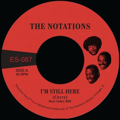 Produktbild von The Notations: The Notations: Im Still Here (Limited Indie Edition) -   - (Single 7" / PopRock)