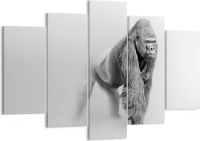 Produktbild von Bild auf Leinwand - Leinwandbild - Orang-Utan Tier - 150x100cm - Wand Bild - Wanddeko - Wandbilder - Leinwanddruck - Bilder - Kunstdruck - Wanddekoration - Leinwand bilder - Wandkunst - EA150x100-4105