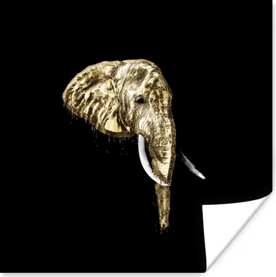 Produktbild von MuchoWow® Poster Elefant - Gold - Zähne 50x50 cm - Wohnzimmerdekoration
