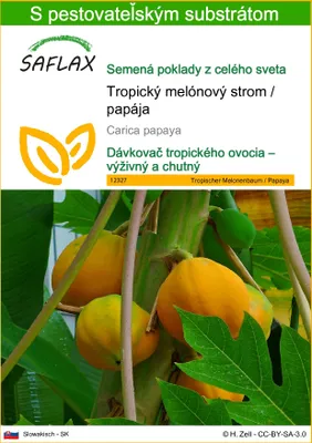 Obrázok produktu pre SAFLAX - Tropický melónový strom / papája - Carica papaya - 30 Semená - S pestovateľským substrátom bez klíčkov