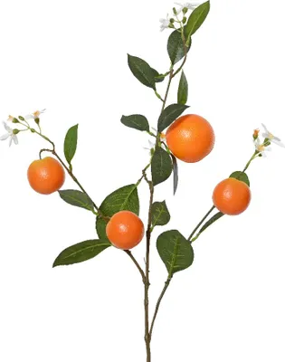 Produktbild von Dekozweig mit Orangen und Blüten, 86 cm, Orange, für Sommer-Dekoration