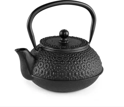Produktbild von Orbegozo TTH 500, Einzelne Teekanne, 500 ml, Schwarz, Eisenguss