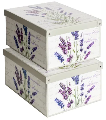 Immagine prodotto di Lavatelli Set 2 Scatole Armadio con Coperchio Lavanda, 39 x 50 x 24 cm