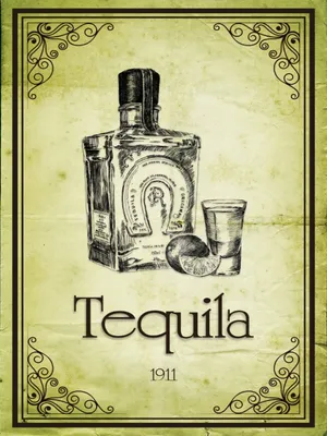 Produktbild von vianmo Holzschild 40x30 cm Alkohol 1911 Tequila