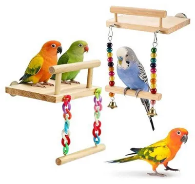 Image de Jeu pour oiseaux, ensemble de 2 pièces en bois naturel, avec balançoire et clochettes, pour perruches et perroquets