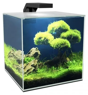 Productafbeelding van Ciano Cube 10 LED | 9,5L | 22 x 22 x 22CM Aquarium Zwart