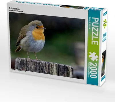 Produktbild von CALVENDO Puzzle Rotkehlchen 2000 Teile Puzzle quer | 2000 Teile Lege-Größe 90x67cm Foto-Puzzle für glückliche Stunden